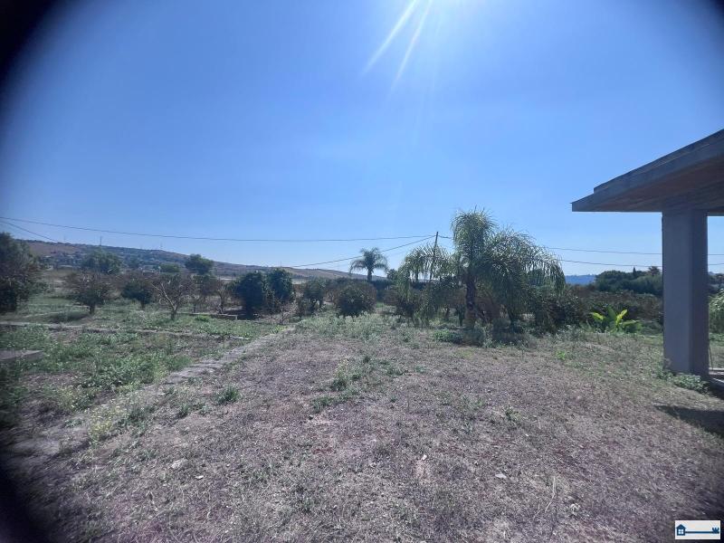 Immagine WhatsApp 2025-07-23 ore 17.39.11_4ffacf9d.jpg